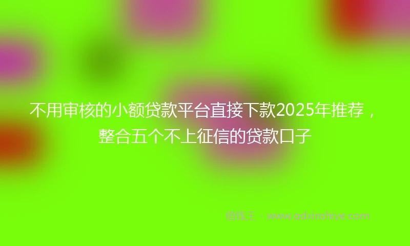 不用审核的小额贷款平台直接下款2025年推荐，整合五个不上征信的贷款口子