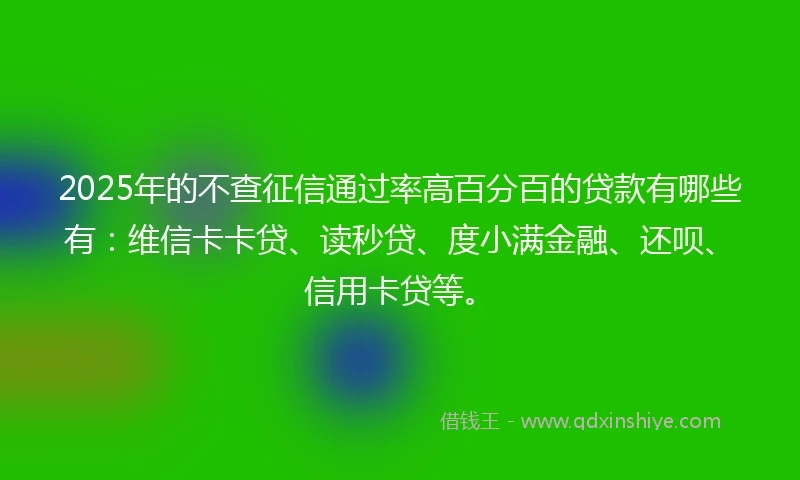 2025年的不查征信通过率高百分百的贷款有哪些有：维信卡卡贷、读秒贷、度小满金融、还呗、信用卡贷等。