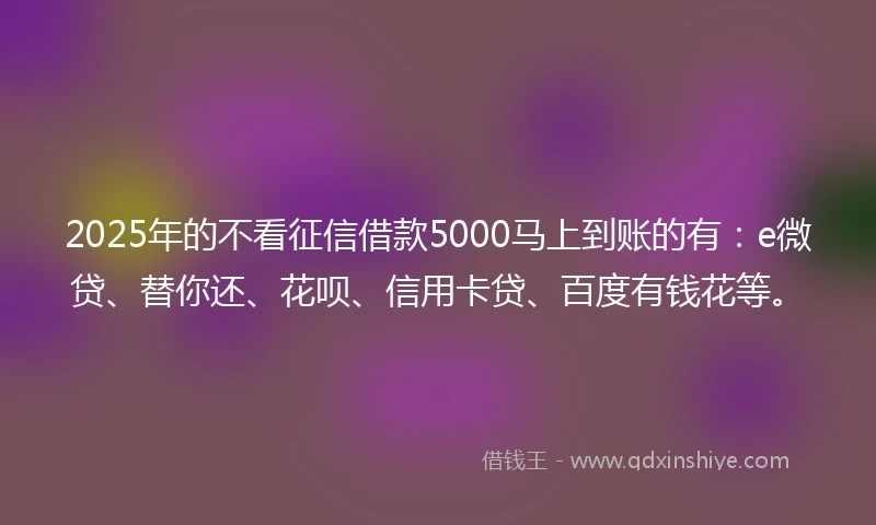 2025年的不看征信借款5000马上到账的有：e微贷、替你还、花呗、信用卡贷、百度有钱花等。