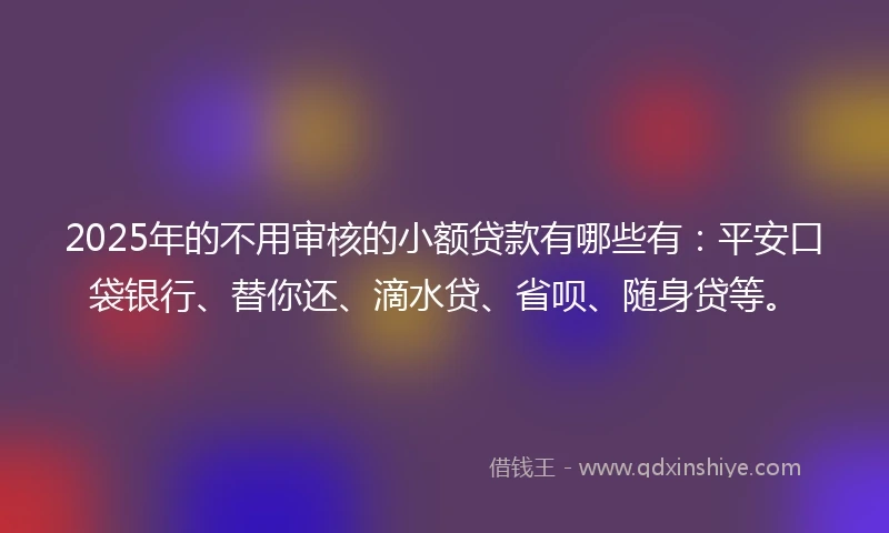 2025年的不用审核的小额贷款有哪些有：平安口袋银行、替你还、滴水贷、省呗、随身贷等。