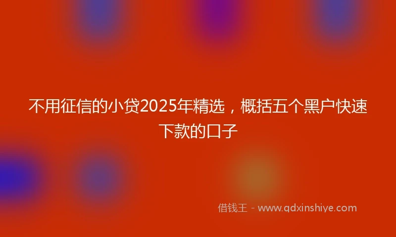 不用征信的小贷2025年精选，概括五个黑户快速下款的口子