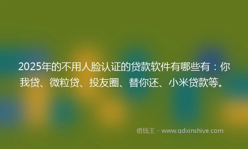 2025年的不用人脸认证的贷款软件有哪些有：你我贷、微粒贷、投友圈、替你还、小米贷款等。