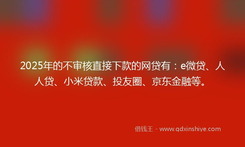 2025年的不审核直接下款的网贷有：e微贷、人人贷、小米贷款、投友圈、京东金融等。
