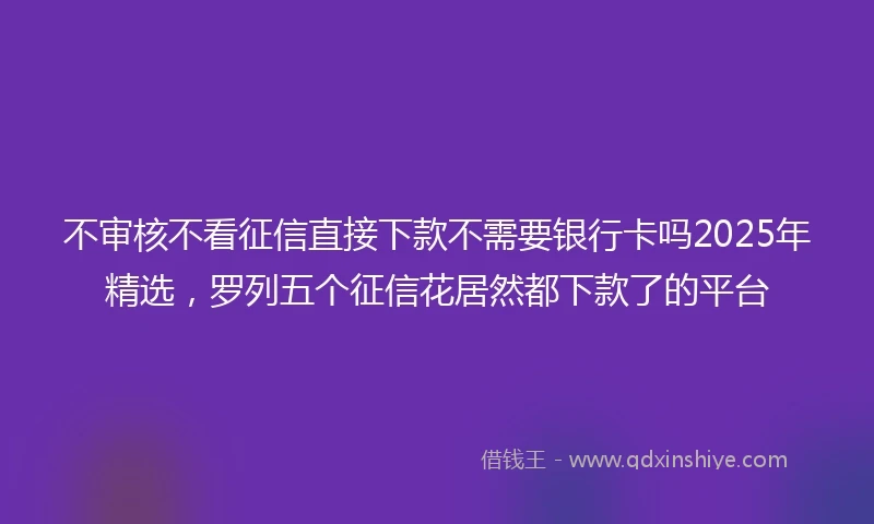 不审核不看征信直接下款不需要银行卡吗2025年精选，罗列五个征信花居然都下款了的平台