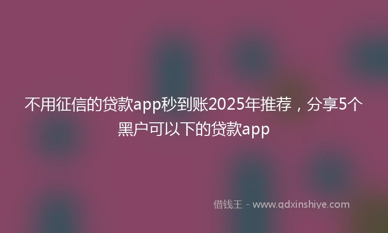 不用征信的贷款app秒到账2025年推荐，分享5个黑户可以下的贷款app