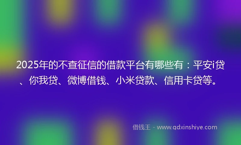 2025年的不查征信的借款平台有哪些有：平安i贷、你我贷、微博借钱、小米贷款、信用卡贷等。