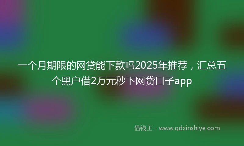 一个月期限的网贷能下款吗2025年推荐，汇总五个黑户借2万元秒下网贷口子app
