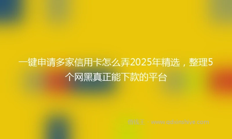 一键申请多家信用卡怎么弄2025年精选，整理5个网黑真正能下款的平台