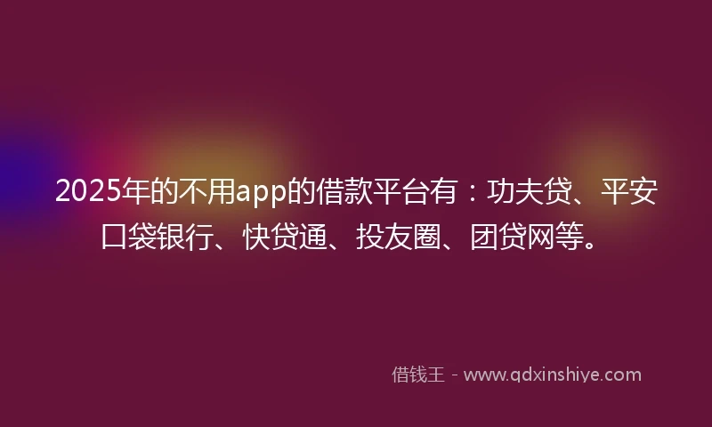 2025年的不用app的借款平台有：功夫贷、平安口袋银行、快贷通、投友圈、团贷网等。