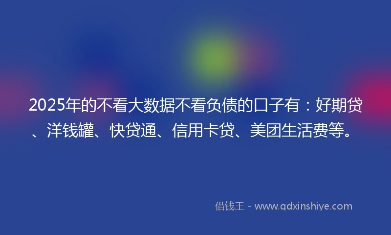2025年的不看大数据不看负债的口子有：好期贷、洋钱罐、快贷通、信用卡贷、美团生活费等。