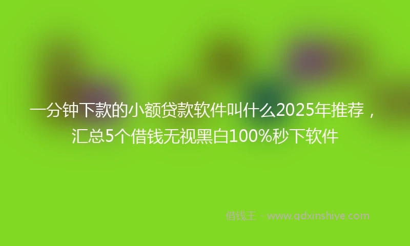 一分钟下款的小额贷款软件叫什么2025年推荐，汇总5个借钱无视黑白100%秒下软件