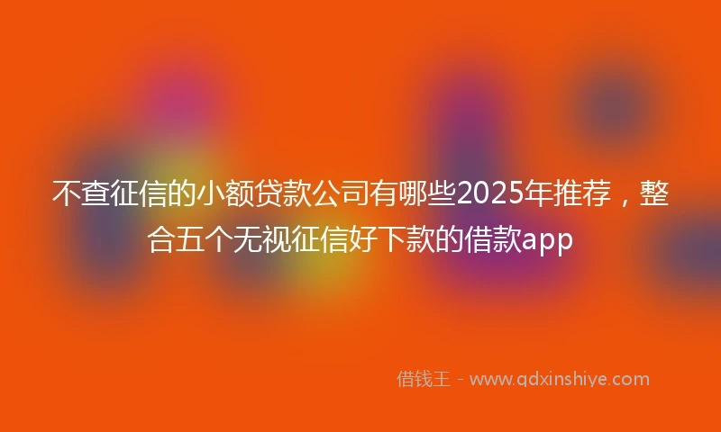 不查征信的小额贷款公司有哪些2025年推荐，整合五个无视征信好下款的借款app