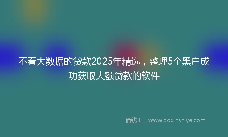 不看大数据的贷款2025年精选，整理5个黑户成功获取大额贷款的软件