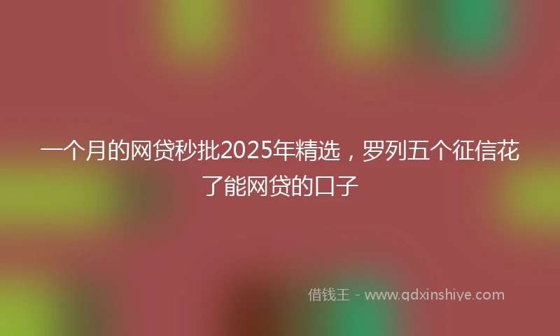 一个月的网贷秒批2025年精选，罗列五个征信花了能网贷的口子