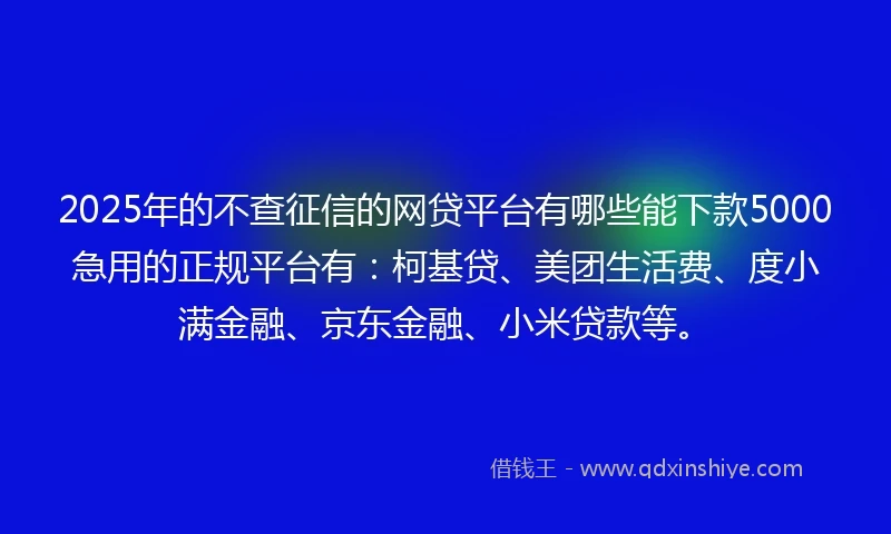 2025年的不查征信的网贷平台有哪些能下款5000急用的正规平台有：柯基贷、美团生活费、度小满金融、京东金融、小米贷款等。