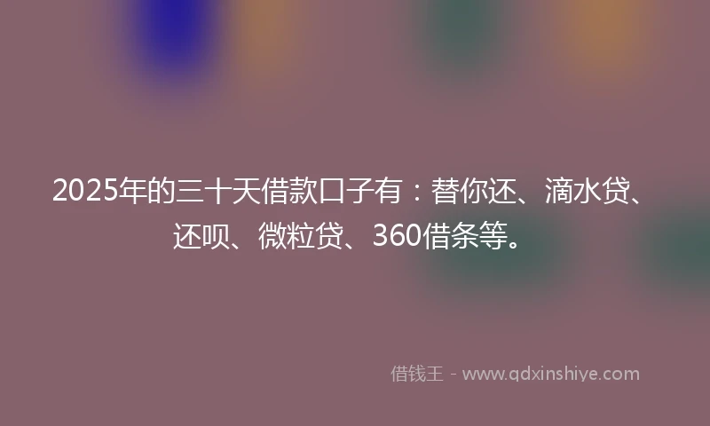 2025年的三十天借款口子有：替你还、滴水贷、还呗、微粒贷、360借条等。