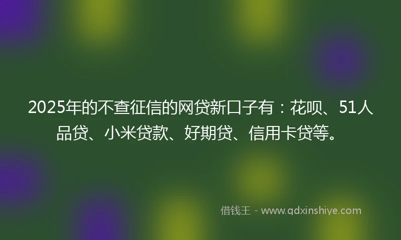 2025年的不查征信的网贷新口子有：花呗、51人品贷、小米贷款、好期贷、信用卡贷等。