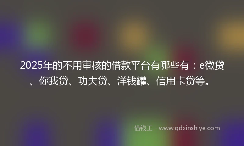 2025年的不用审核的借款平台有哪些有：e微贷、你我贷、功夫贷、洋钱罐、信用卡贷等。