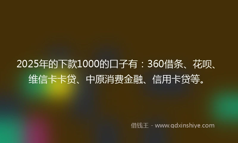 2025年的下款1000的口子有：360借条、花呗、维信卡卡贷、中原消费金融、信用卡贷等。