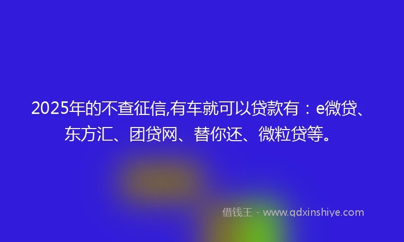 2025年的不查征信,有车就可以贷款有：e微贷、东方汇、团贷网、替你还、微粒贷等。