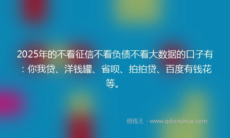 2025年的不看征信不看负债不看大数据的口子有：你我贷、洋钱罐、省呗、拍拍贷、百度有钱花等。
