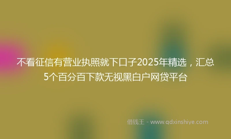 不看征信有营业执照就下口子2025年精选，汇总5个百分百下款无视黑白户网贷平台