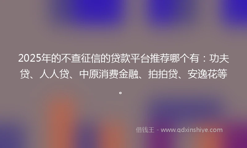 2025年的不查征信的贷款平台推荐哪个有：功夫贷、人人贷、中原消费金融、拍拍贷、安逸花等。