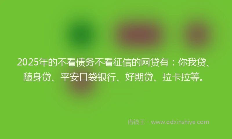 2025年的不看债务不看征信的网贷有：你我贷、随身贷、平安口袋银行、好期贷、拉卡拉等。