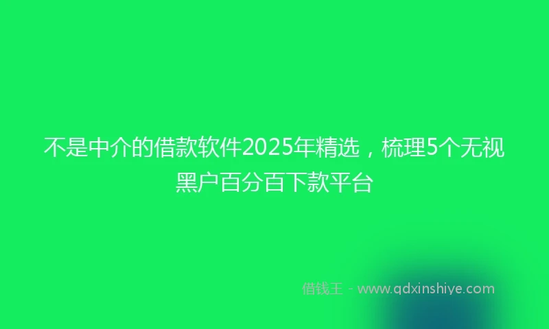 不是中介的借款软件2025年精选，梳理5个无视黑户百分百下款平台