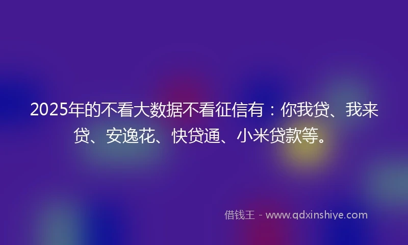 2025年的不看大数据不看征信有：你我贷、我来贷、安逸花、快贷通、小米贷款等。