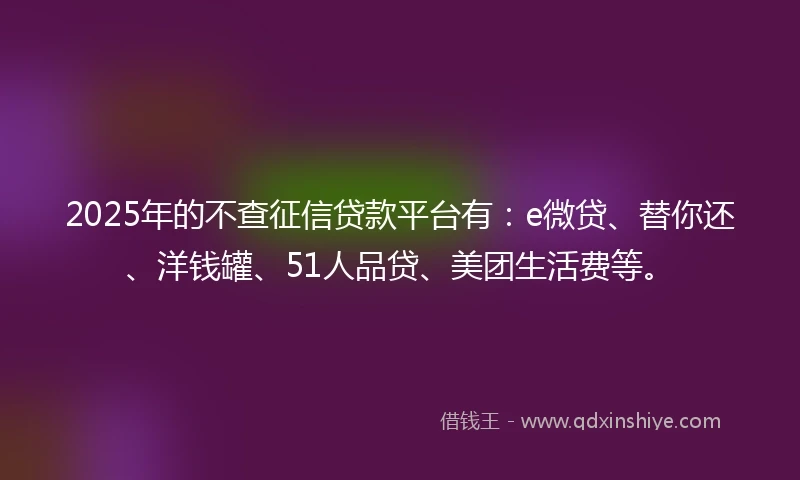 2025年的不查征信贷款平台有：e微贷、替你还、洋钱罐、51人品贷、美团生活费等。