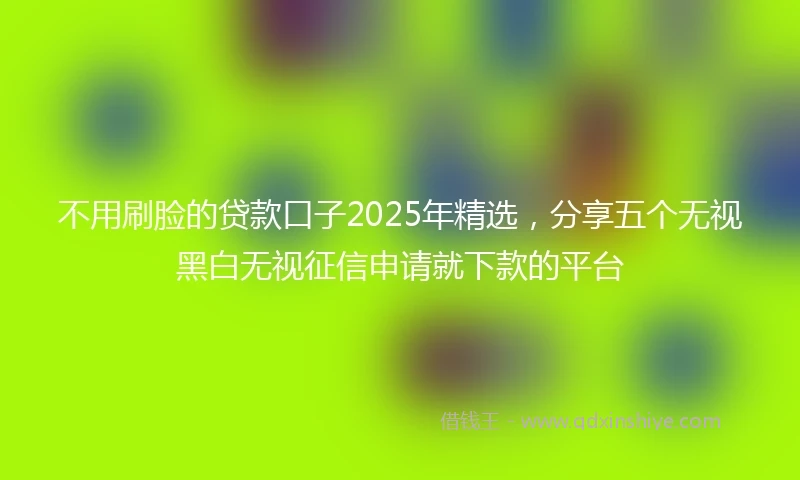 不用刷脸的贷款口子2025年精选，分享五个无视黑白无视征信申请就下款的平台