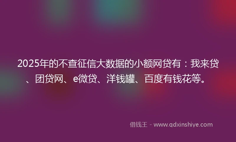 2025年的不查征信大数据的小额网贷有：我来贷、团贷网、e微贷、洋钱罐、百度有钱花等。