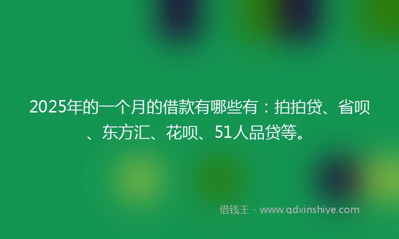 2025年的一个月的借款有哪些有：拍拍贷、省呗、东方汇、花呗、51人品贷等。