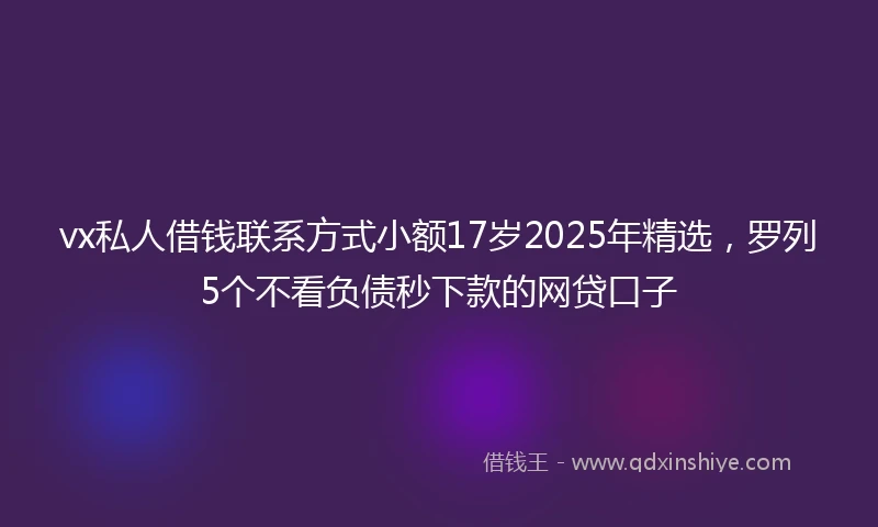 vx私人借钱联系方式小额17岁2025年精选，罗列5个不看负债秒下款的网贷口子