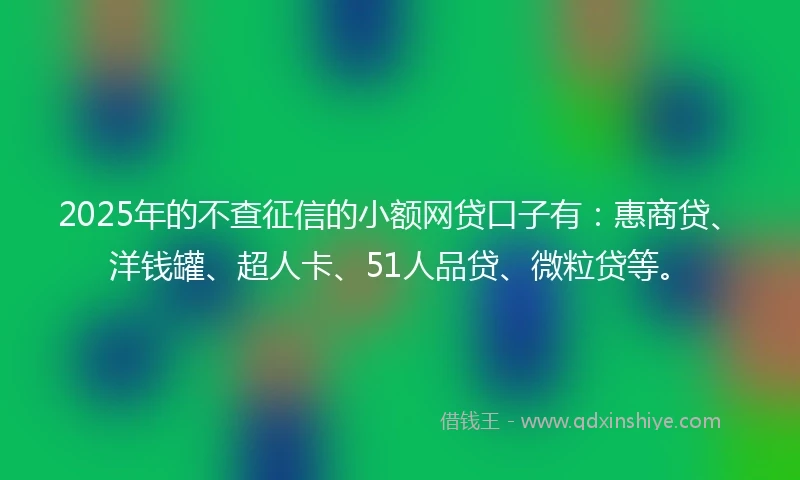 2025年的不查征信的小额网贷口子有：惠商贷、洋钱罐、超人卡、51人品贷、微粒贷等。