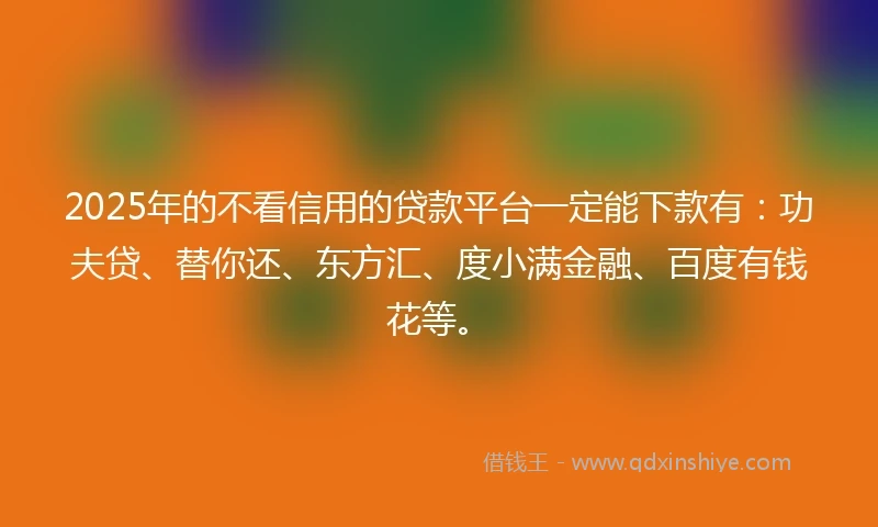 2025年的不看信用的贷款平台一定能下款有：功夫贷、替你还、东方汇、度小满金融、百度有钱花等。