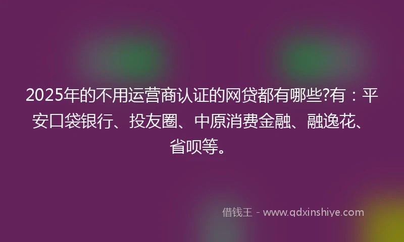 2025年的不用运营商认证的网贷都有哪些?有：平安口袋银行、投友圈、中原消费金融、融逸花、省呗等。