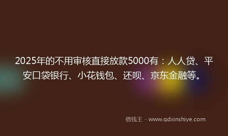 2025年的不用审核直接放款5000有：人人贷、平安口袋银行、小花钱包、还呗、京东金融等。