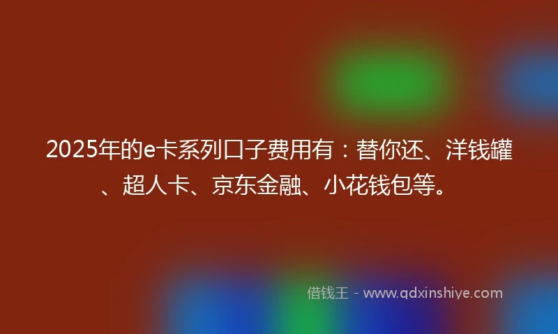 2025年的e卡系列口子费用有：替你还、洋钱罐、超人卡、京东金融、小花钱包等。
