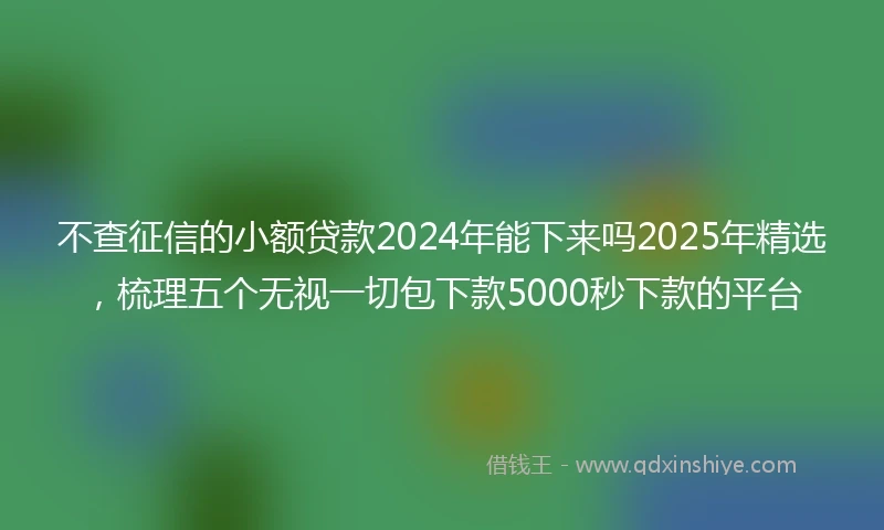 不查征信的小额贷款2024年能下来吗2025年精选，梳理五个无视一切包下款5000秒下款的平台
