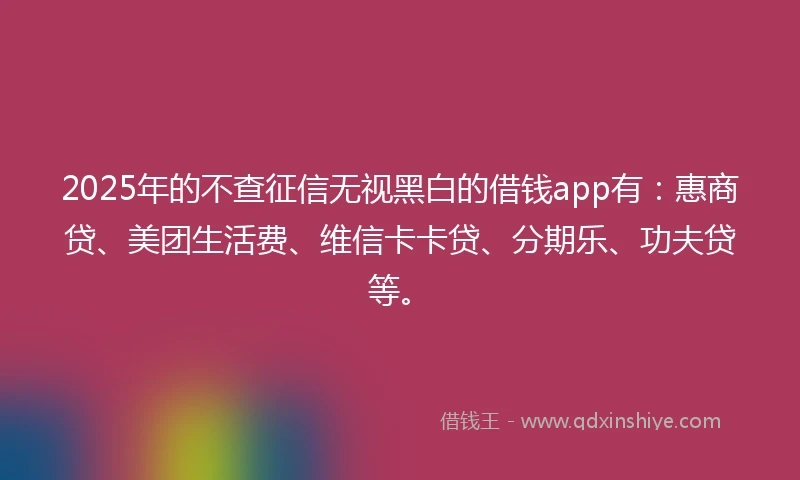 2025年的不查征信无视黑白的借钱app有：惠商贷、美团生活费、维信卡卡贷、分期乐、功夫贷等。