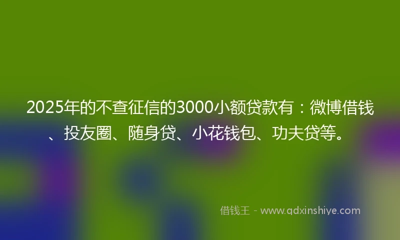 2025年的不查征信的3000小额贷款有：微博借钱、投友圈、随身贷、小花钱包、功夫贷等。