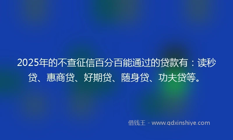 2025年的不查征信百分百能通过的贷款有：读秒贷、惠商贷、好期贷、随身贷、功夫贷等。