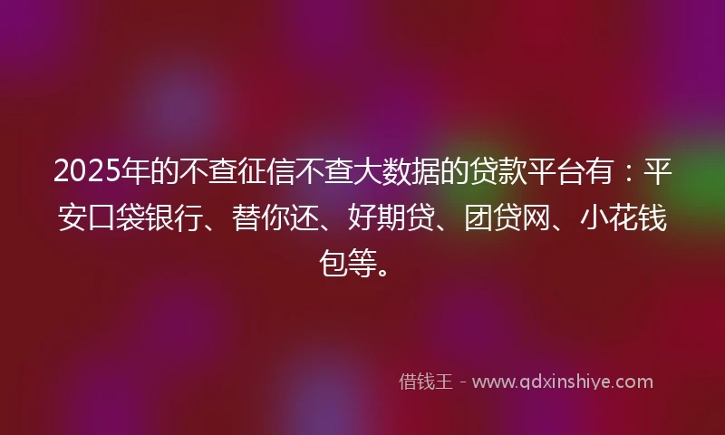 2025年的不查征信不查大数据的贷款平台有：平安口袋银行、替你还、好期贷、团贷网、小花钱包等。