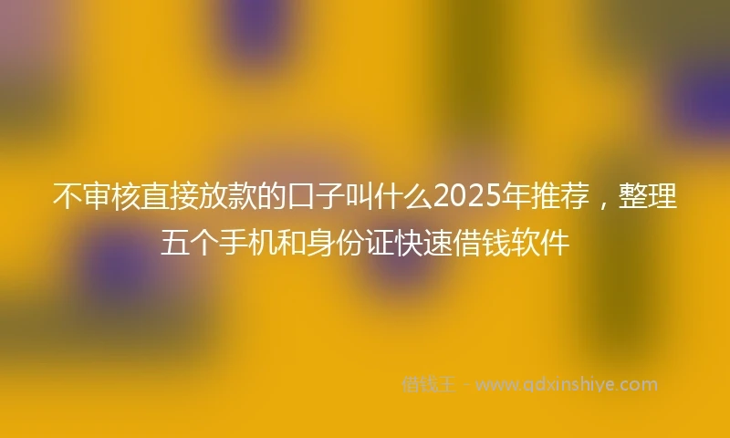 不审核直接放款的口子叫什么2025年推荐，整理五个手机和身份证快速借钱软件