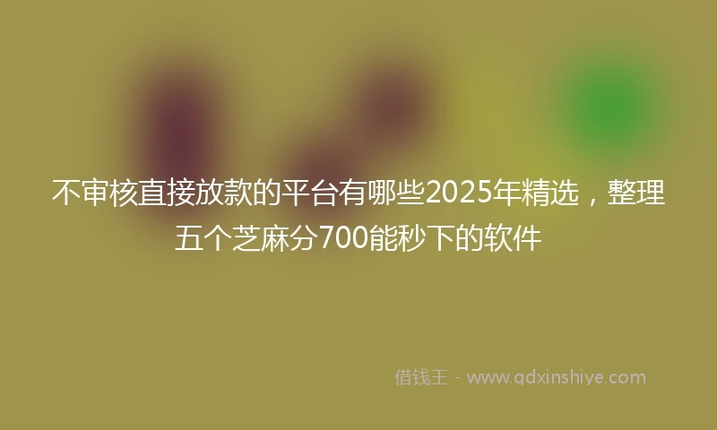 不审核直接放款的平台有哪些2025年精选，整理五个芝麻分700能秒下的软件