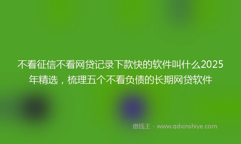 不看征信不看网贷记录下款快的软件叫什么2025年精选，梳理五个不看负债的长期网贷软件