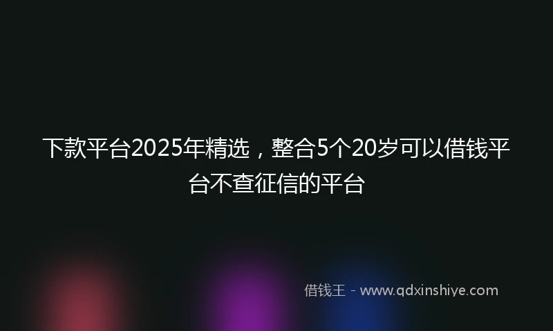 下款平台2025年精选，整合5个20岁可以借钱平台不查征信的平台