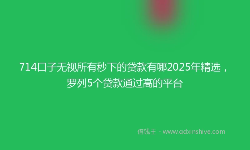 714口子无视所有秒下的贷款有哪2025年精选，罗列5个贷款通过高的平台